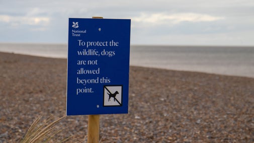 A blue sign on the beach at Blakeney Point which reads To protect the wildlife, dogs are not allowed beyond this point